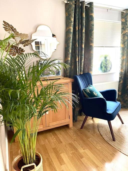Shilton  Hibiscus Houseヴィラ エクステリア 写真